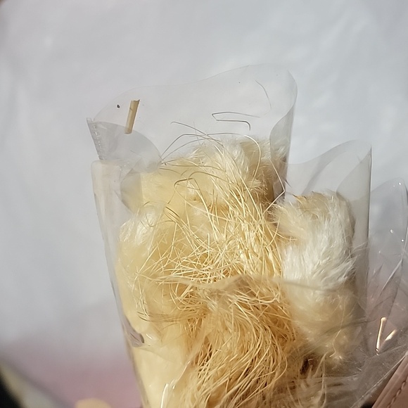 🎉HP NIB 50 Pcs Pampas Dried Grass Oats Wheat Flowers Bohemian Box 17.5 " Ivory - Picture 3 of 3